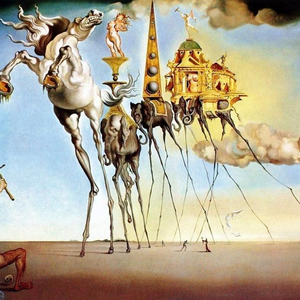 Foto de perfil de Nycole