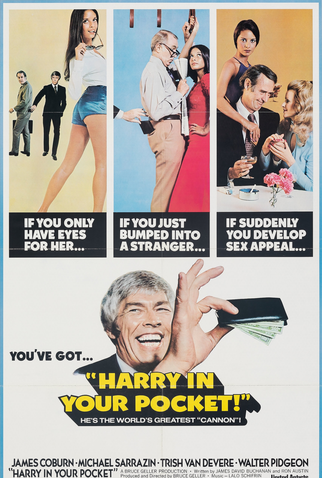 Poster 3 de Filme Harry, O Mão Leve (1973)