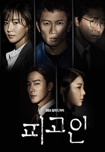 Defendant (피고인)