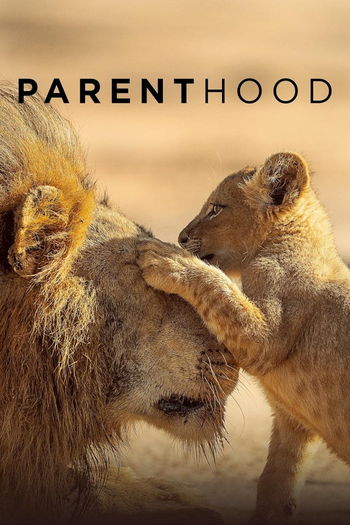 Poster de Franquia Parenthood (2025) (2025)