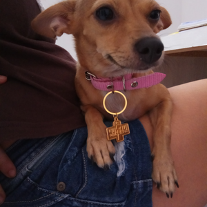 Foto de perfil de Arlene