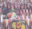 Procedimentos Básicos de Autópsia