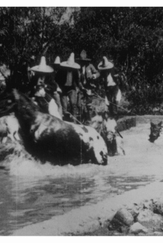 Poster 1 de Curta Baignade de chevaux (1896)