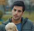 Ben Aşığım