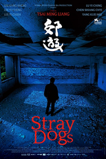 Cães Errantes (Jiao You)