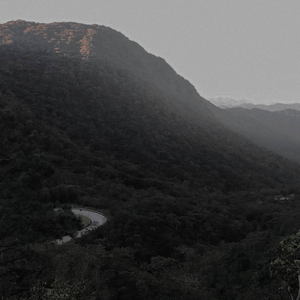 Foto de perfil de holden104050607