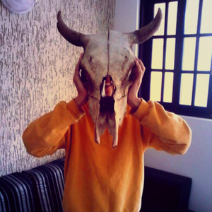 Foto de perfil de Guilherme