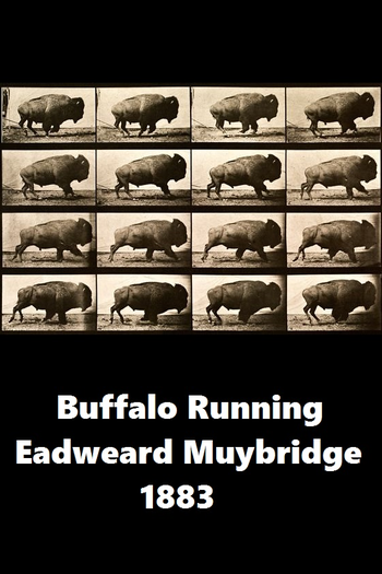 Poster de Curta Buffalo Running (1883)