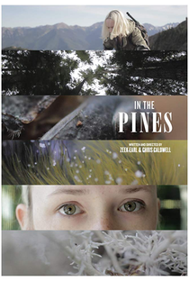 In the Pines - Poster / Capa / Cartaz - Oficial 1