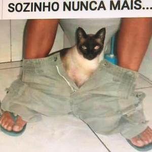 Foto de perfil de Renatyldes