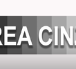 Área Cinza