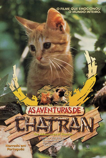 As Aventuras de Chatran - Poster / Capa / Cartaz - Oficial 1