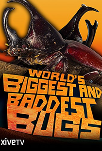 World's Biggest and Baddest Bugs - Poster / Capa / Cartaz - Oficial 1
