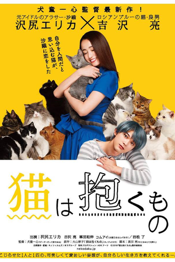 Poster de Filme The Cat in Their Arms (2018)