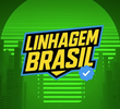 Linhagem Brasil