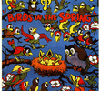 Birds in the Spring