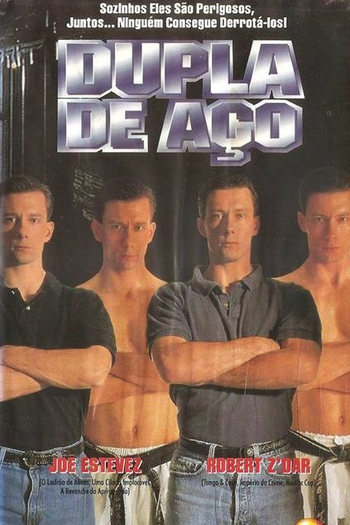 Poster de Filme Dupla de Aço (1995)