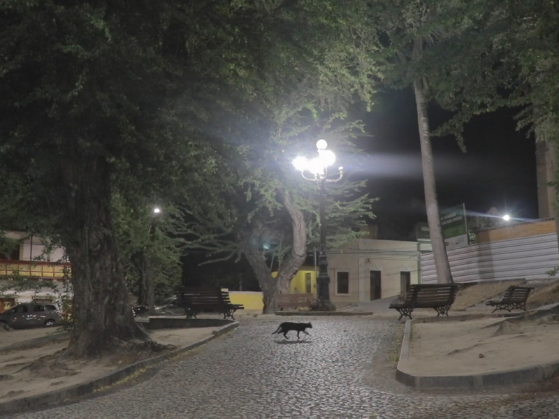 Foto 2 de Bloco do Isolamento