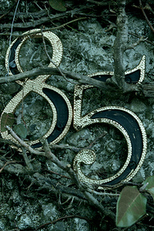 Alguns Dias Antes e Outros Depois (Alguns Dias Antes e Outros Depois)