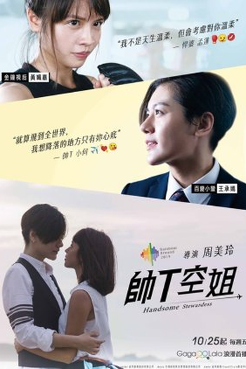 Poster de Série Handsome Stewardess (2019)