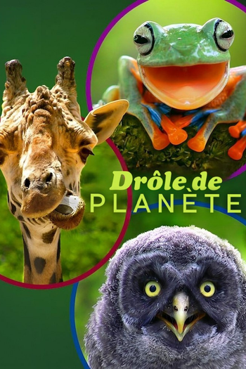 Poster de Franquia Absurd Planet (2020)