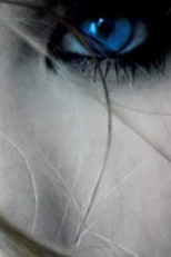 The Last Vampire (The Last Vampire)