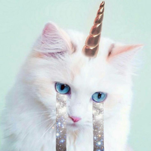 Foto de perfil de Lilo