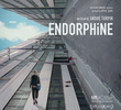 Endorfina 