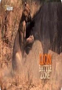Guerra de Leões (Grandes Felinos – Guerra de Leões (NatGeo Wild))