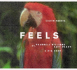 Calvin Harris Feat. Pharrell Williams, Katy Perry & Big Sean: Feels