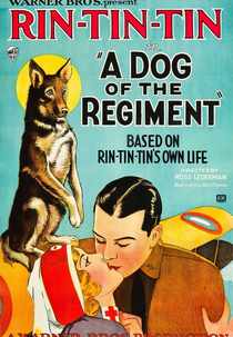 Camarada é Camarada (A Dog of the Regiment)