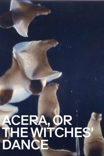 Poster de Curta Acera, or The Witches’ Dance (1972)