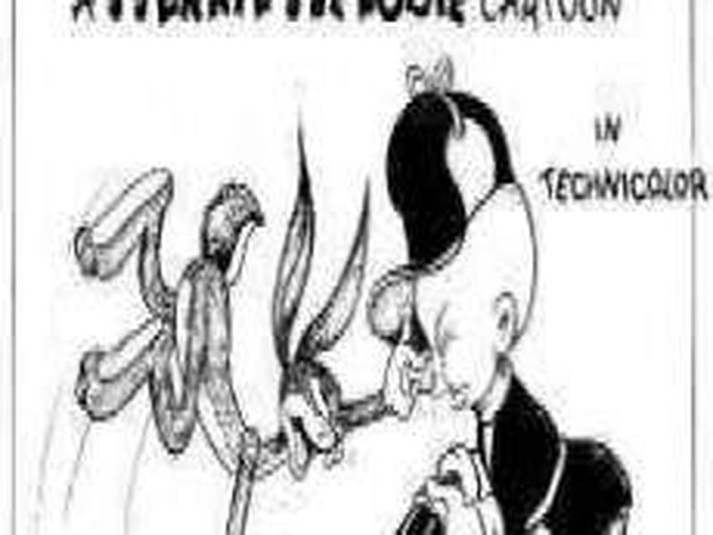 Foto 1 de A Wild Hare