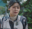 11회