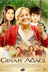 Cinar agaci (Çınar Ağacı)