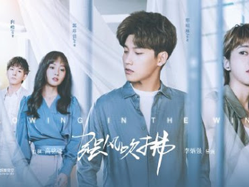 Foto 5 de Blowing in the Wind