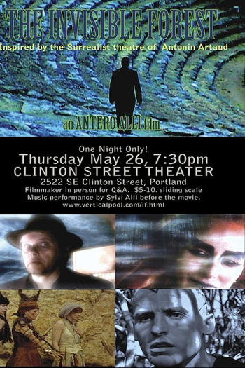 Poster de Filme The Invisible Forest (2008)