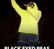 Black Eyed Peas Performing In Egypt