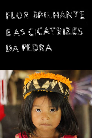 Poster de Curta Flor Brilhante e as Cicatrizes da Pedra (2013)