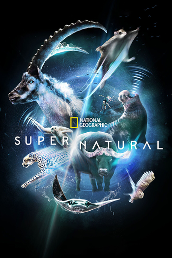 Poster de Franquia Super/Natural (2022)