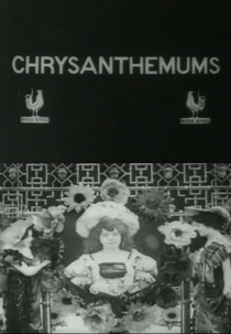 Chrysanthemums (Les chrysanthèmes)