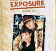 Northern Exposure (6ª Temporada)