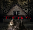 Peppergrass