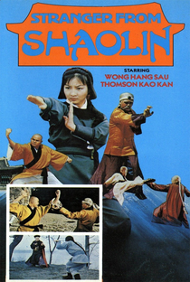 A Vingança de Shaolin - Poster / Capa / Cartaz - Oficial 3