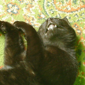 Foto de perfil de ana_msa