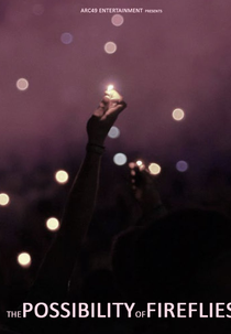 The Possibility of Fireflies (The Possibility of Fireflies)