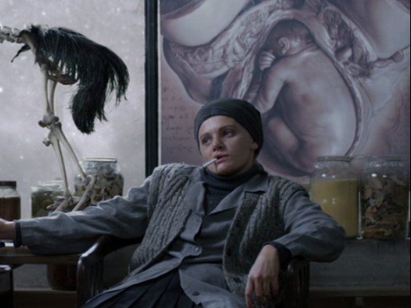 Foto 8 de Somewhere in Palilula