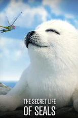 The Secret Life Of Seals (The Secret Life Of Seals)
