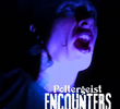 Poltergeist Encounters