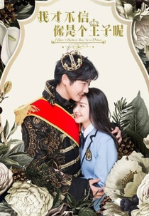 I Don't Believe You're A Prince (我才不信你是个王子呢)